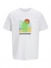 Jack&Jones T-shirt BARBADOS