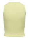Only Singlet SANDY