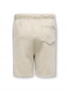 Only & Sons Short CERES