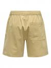 Only & Sons Short AIKEN