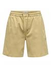 Only & Sons Short AIKEN