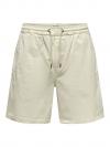 Only & Sons Short AIKEN