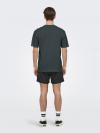 Only & Sons T-shirt PASSA