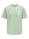 Only & Sons T-shirt BISTRO