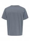 Only & Sons T-shirt JEFF 