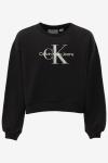 Calvin Klein Sweater GLITTER