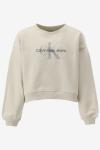 Calvin Klein Sweater GLITTER