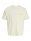 Jack&Jones T-shirt BILLYBURG