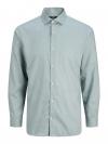 Jack&Jones Premium Casual Shirt BLAPARKER 