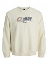 Jack&Jones Sweater TIER