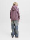 Jack&Jones Hoodie OUNION