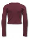 Only Longsleeve BINA