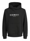 Jack&Jones Hoodie STANCE TEXT