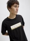 Jack&Jones T-shirt INWOOD 