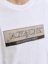 Jack&Jones T-shirt INWOOD 