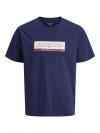 Jack&Jones T-shirt INWOOD 