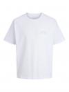 Jack&Jones T-shirt MEADOWS 