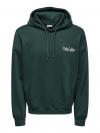 Only & Sons Hoodie GALLERY 