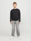 Jack&Jones Loose Fit CHRIS