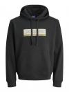 Jack&Jones Hoodie INWOOD