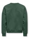 Only Sweater BILA
