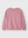 Name It Hoodie RASAB